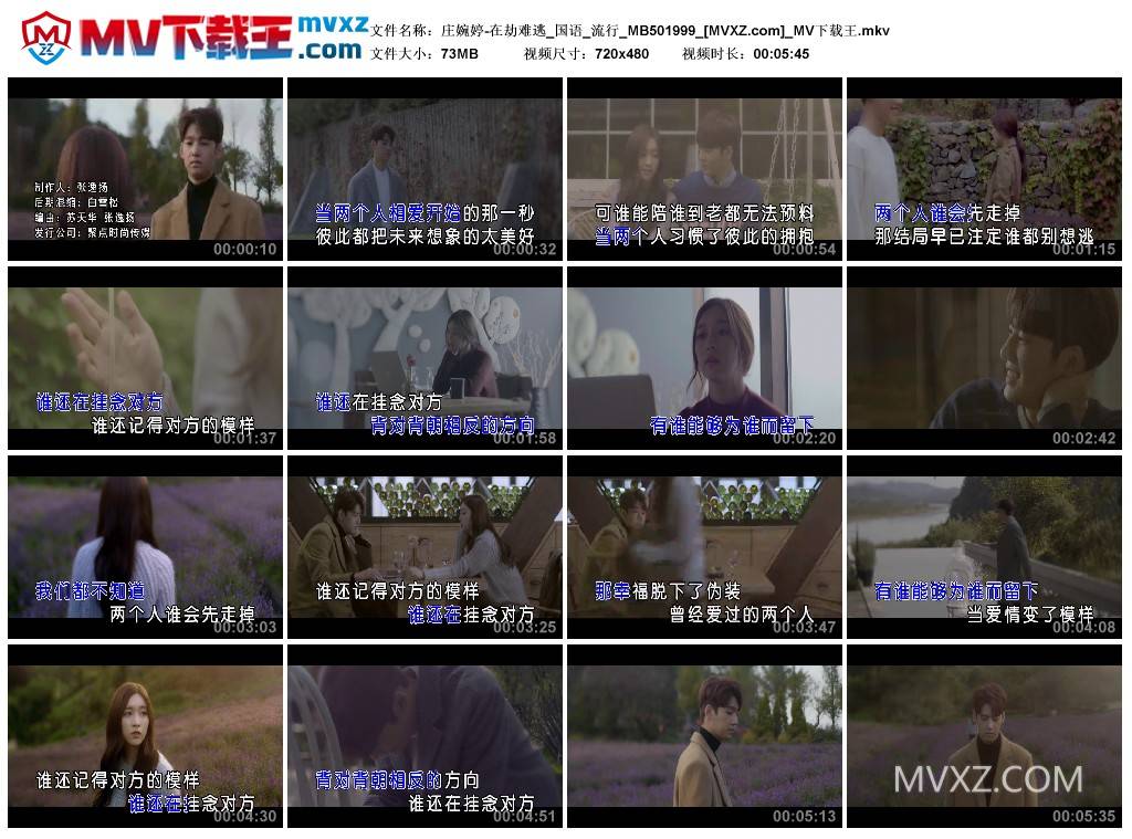 庄婉婷-在劫难逃_国语_流行_MB501999